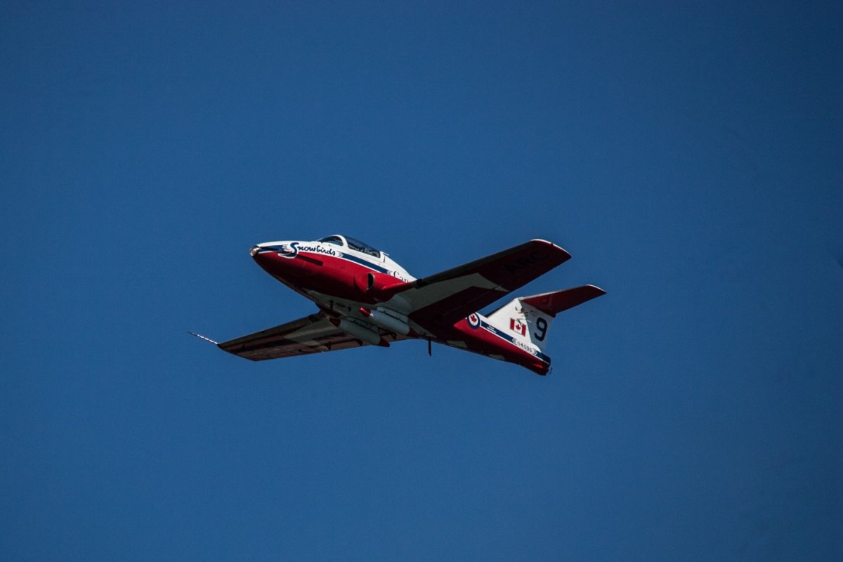Canadian Air Force Snowbirds jet 9