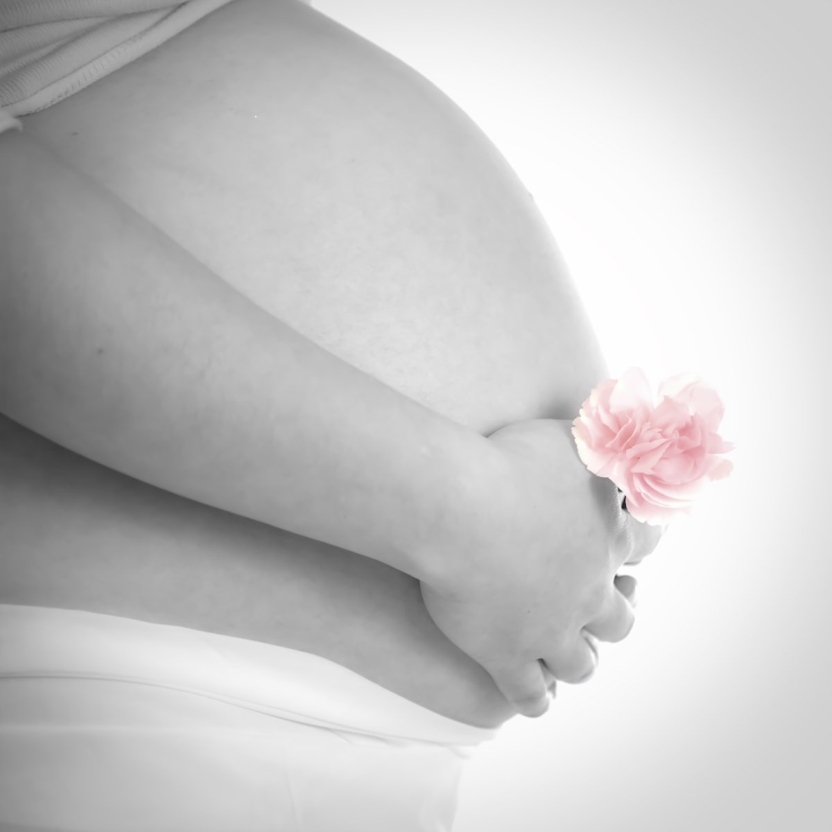 Photo of a woman holding a pink carnation against her pregnant belly